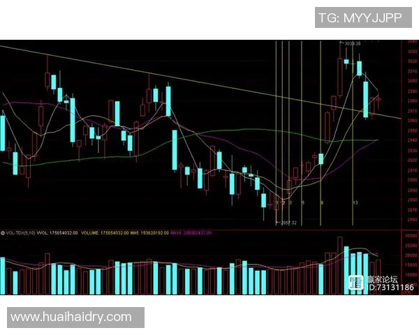深圳排球队与杭州排球队赛后复盘分析比赛节奏与战术对决
